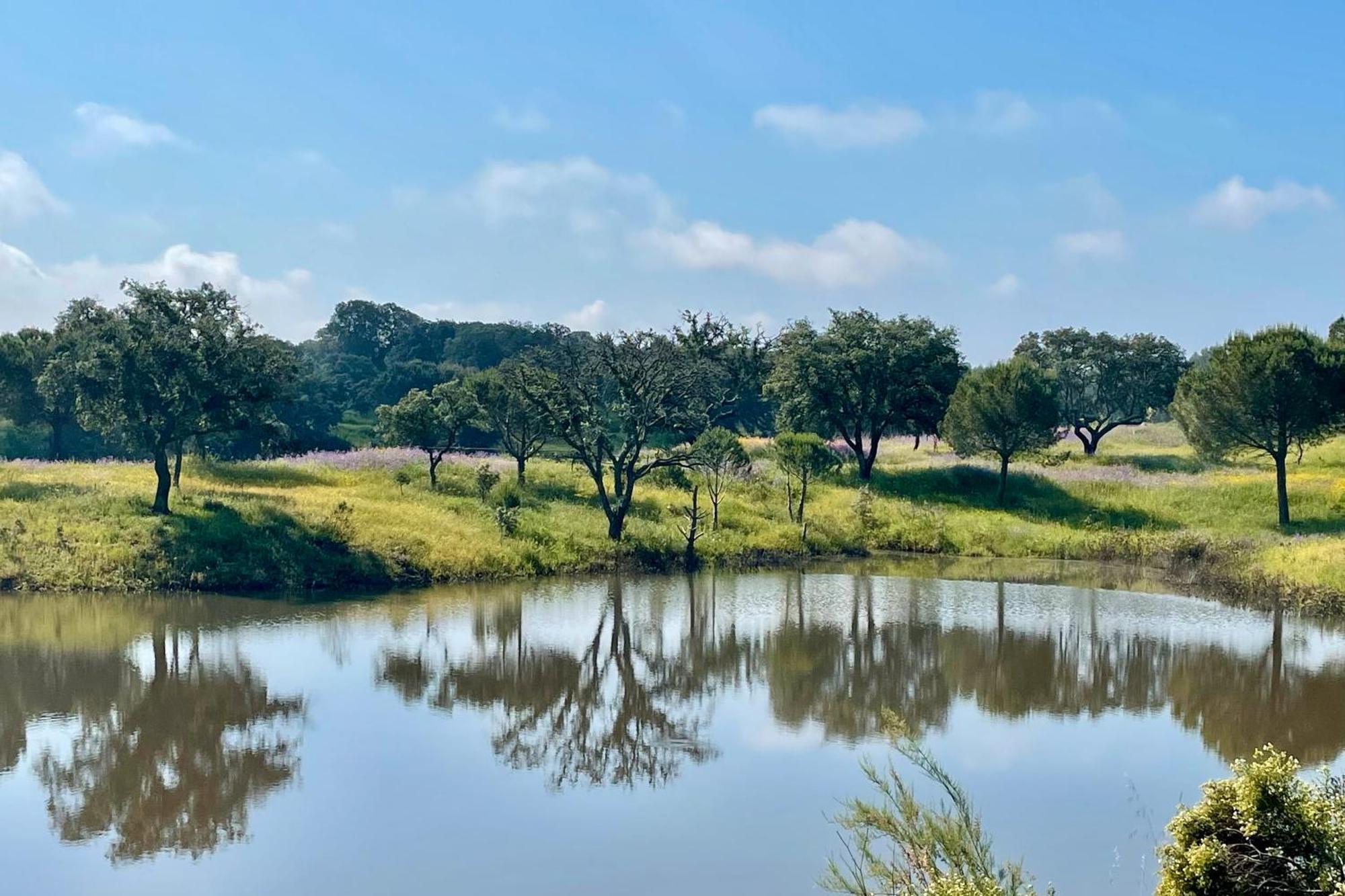 Villa Sesmarias Dos Nobres Azinheira dos Barros Esterno foto